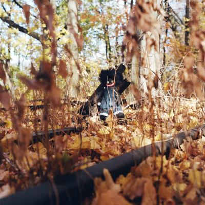 [billy woods / GOLLIWOG]