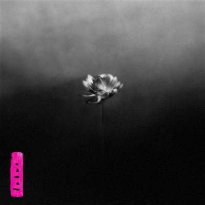 [Little Simz / Lotus]